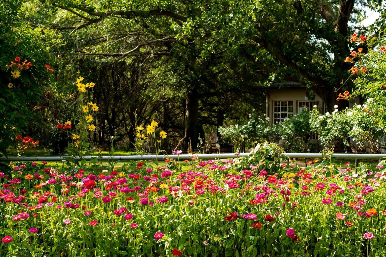Wetlands Country House & Sheds Wakkerstroom 外观 照片