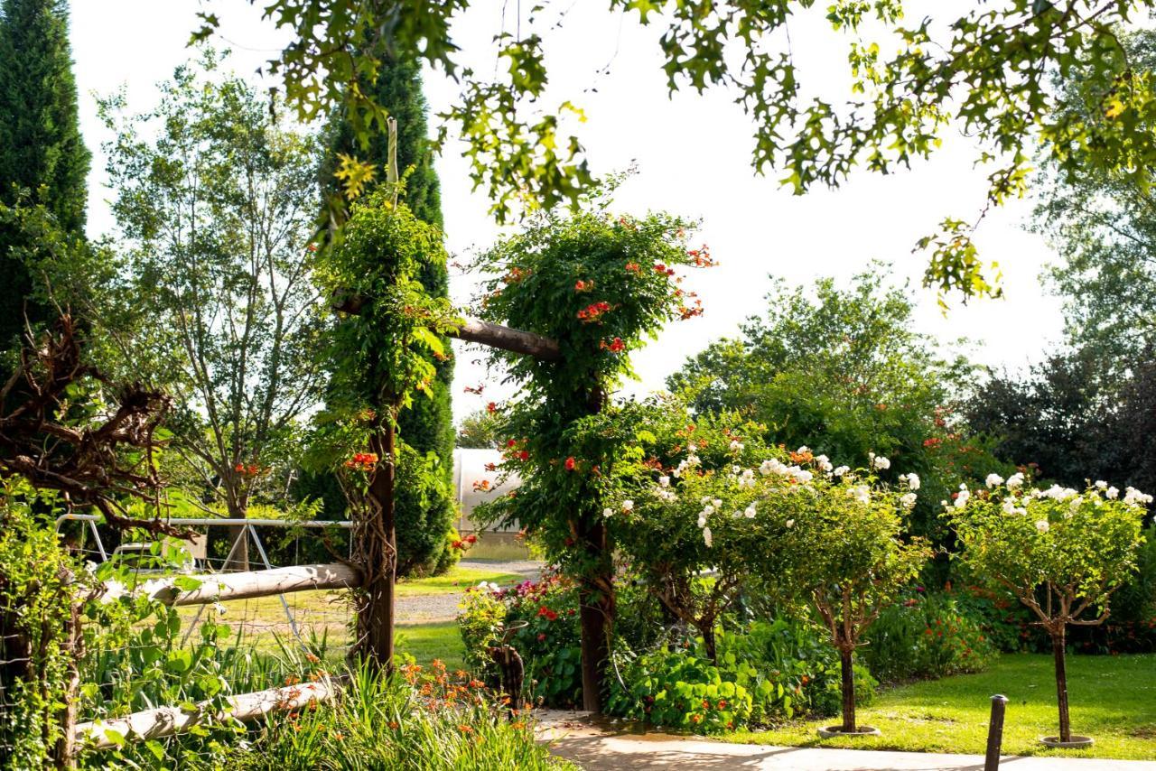 Wetlands Country House & Sheds Wakkerstroom 外观 照片